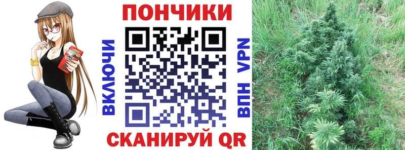 Бошки Шишки VHQ  МЕГА онион  Фурманов 